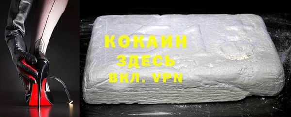 гашик Новозыбков