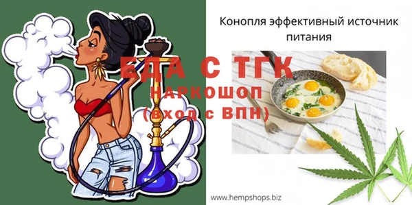 гашик Новозыбков
