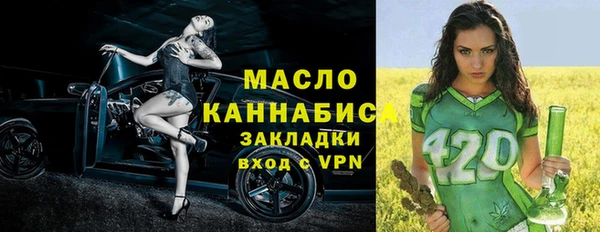гашик Новозыбков