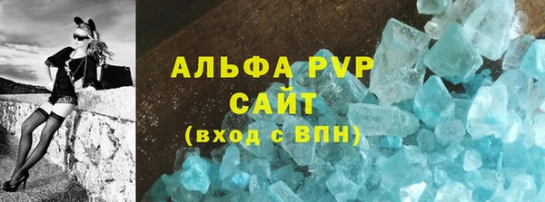 гашик Новозыбков