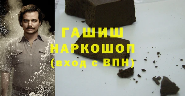 гашик Новозыбков