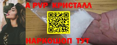 стафф Абакан