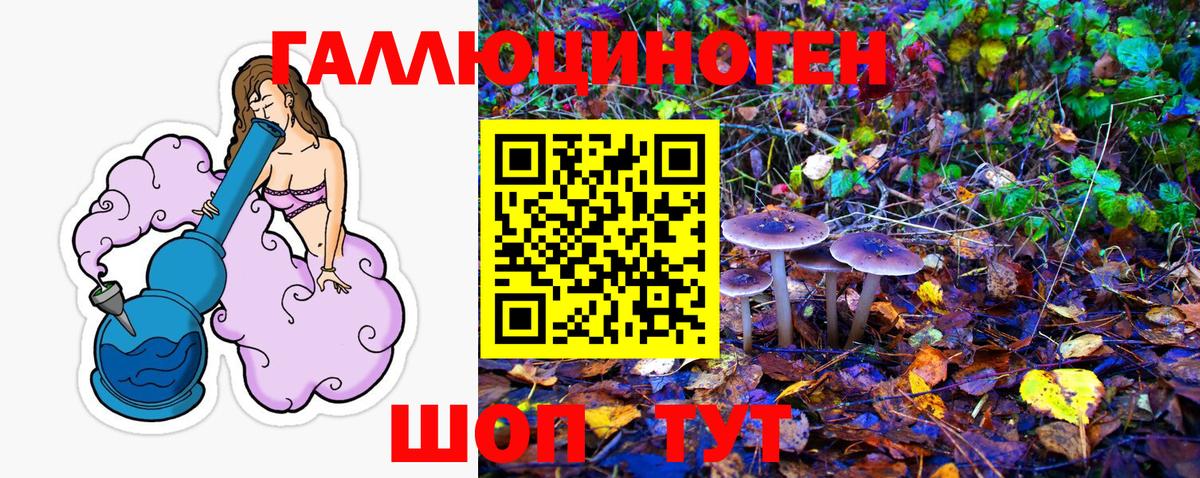наркошоп  Печора  Галлюциногенные грибы MAGIC MUSHROOMS  Псилоцибиновые грибы MAGIC MUSHROOMS 