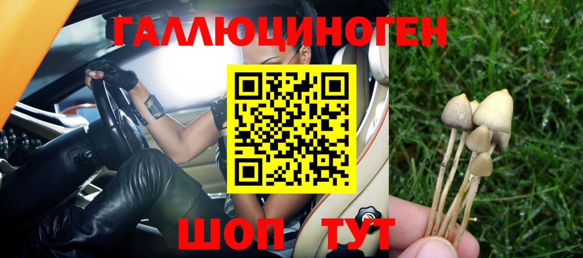 COCAIN  Купить закладку  Канабис  Alpha-PVP СОЛЬ кристаллы  Печора  Гашиш  Канабис  МЕФ   Мефедрон кристаллы  МДМА 