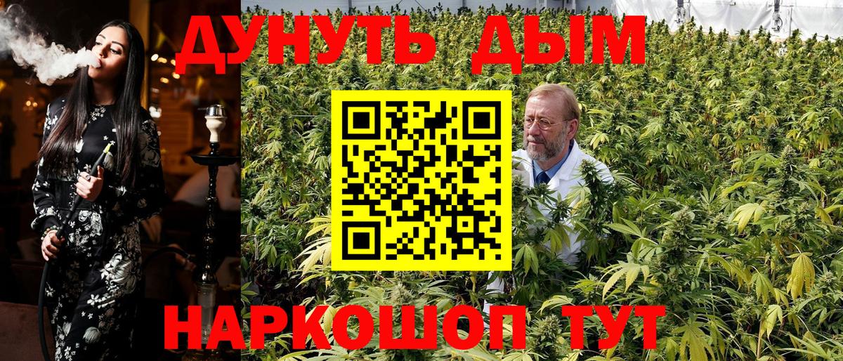 Шишки марихуана конопля  Бошки Шишки семена  Бошки Шишки ГИДРОПОН  Печора  Бошки Шишки планчик  Вход с VPN 